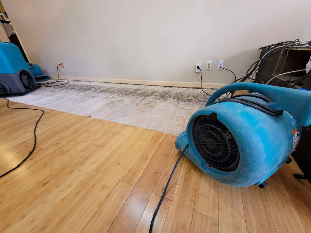 Professional Ceiling Water Damage Repair technician working in Harrington, DE